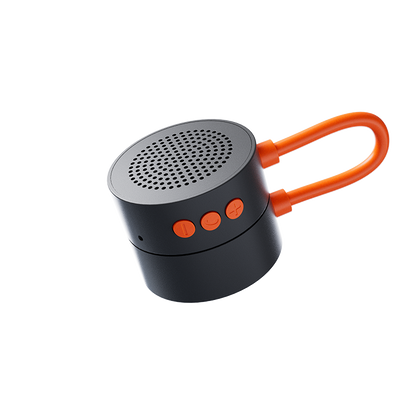 INMO Speaker